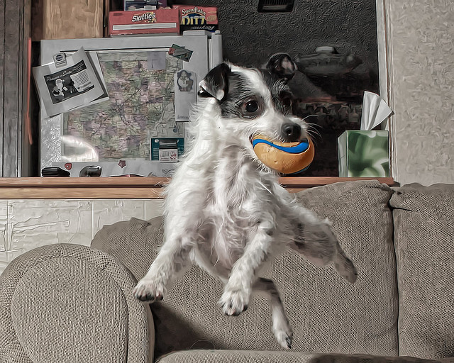 想改變不是用說的，請跳出你的舒適圈！