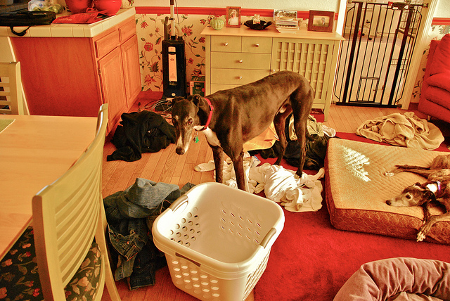 最適合忙碌者的整理術