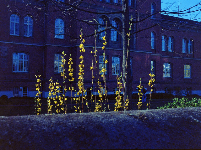 請別人幫忙，記得用對「你」這個字