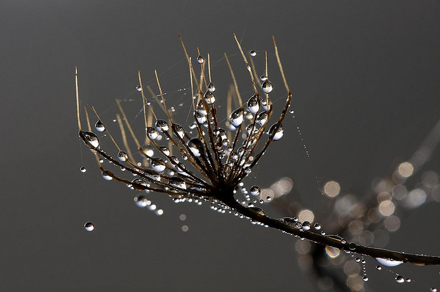 你為什麼心煩？