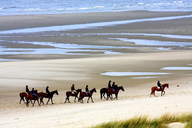 環境影響人脈，但人脈只看你有沒有行動力