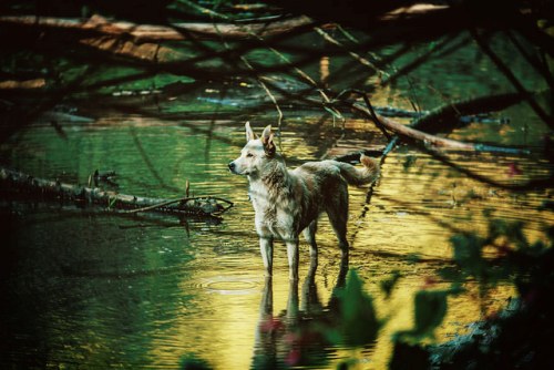一件有價值的事，必定有正直內涵在
