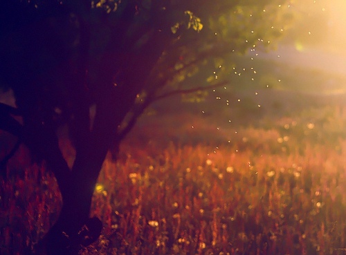 你是「好欺負」還是「好意」？