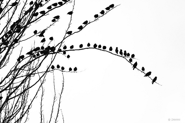 凡事不是你自己認為最好，就是對兩人都好