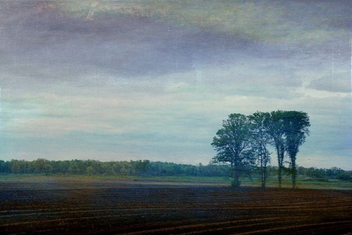 在起跑點時，兔子就輸給烏龜了！