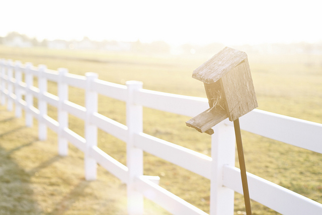 我們都習慣於卓越