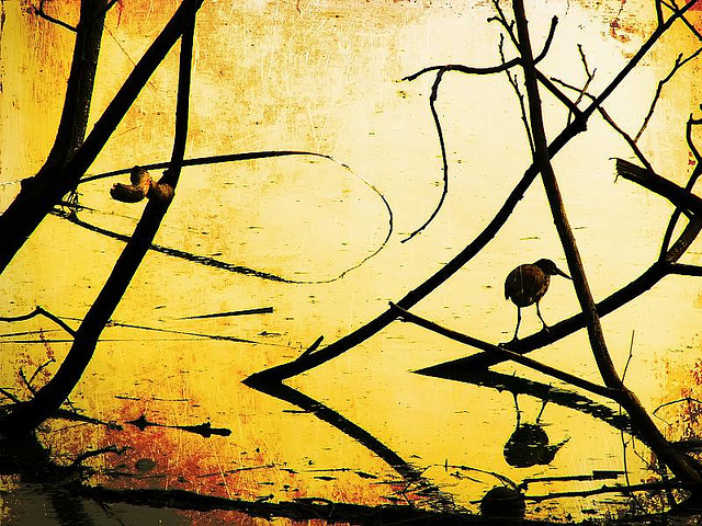 憤怒，讓你更有迎接挑戰的勇氣