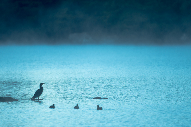 員工也是人，別不把員工當人看