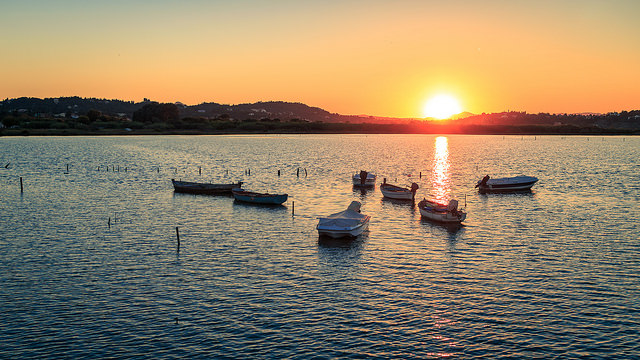 學習無分貴賤，請不要只聽大人物的話