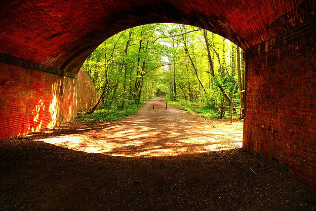 過去30年來，我努力擺脫焦慮