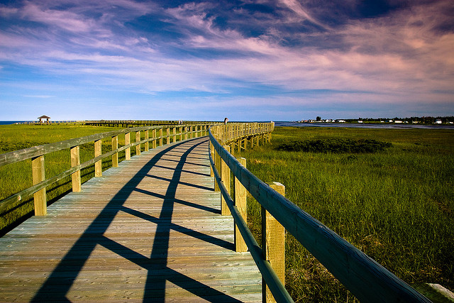 你的人生暫時停止了嗎？