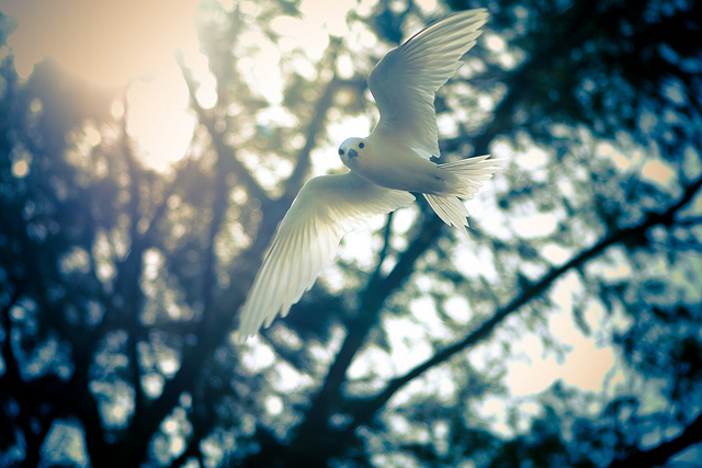 趕快失敗─放手做，勇敢錯！