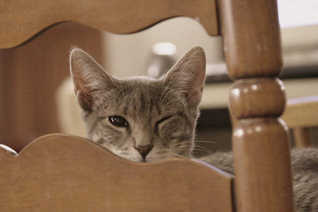 別人違規時，我們為什麼會生氣？