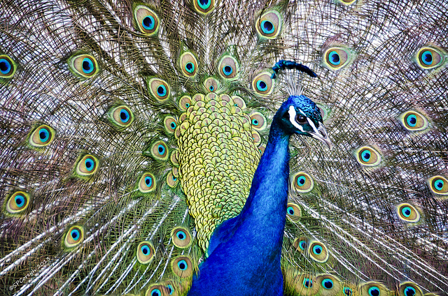 從愛離你而去之後，到你能夠不愛了以後