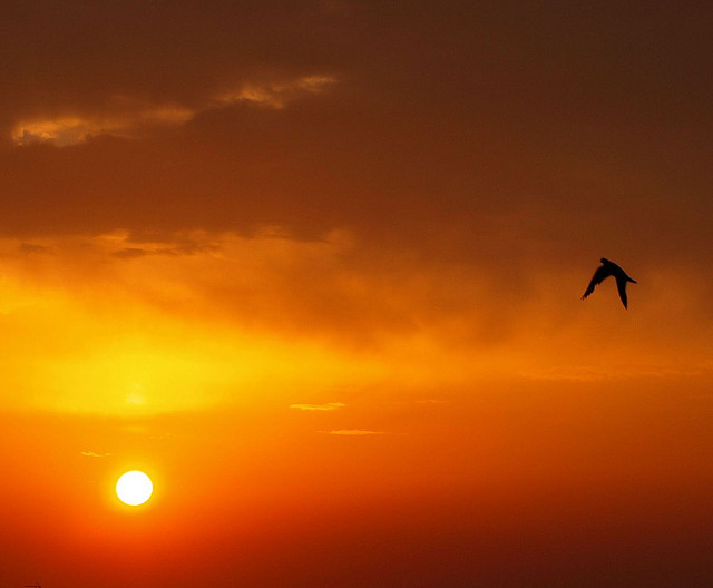 不輕視每一件小事