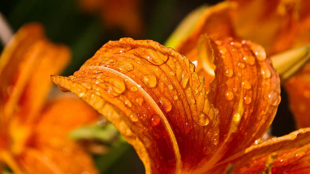 失敗是你唯一能仰賴學習的對象