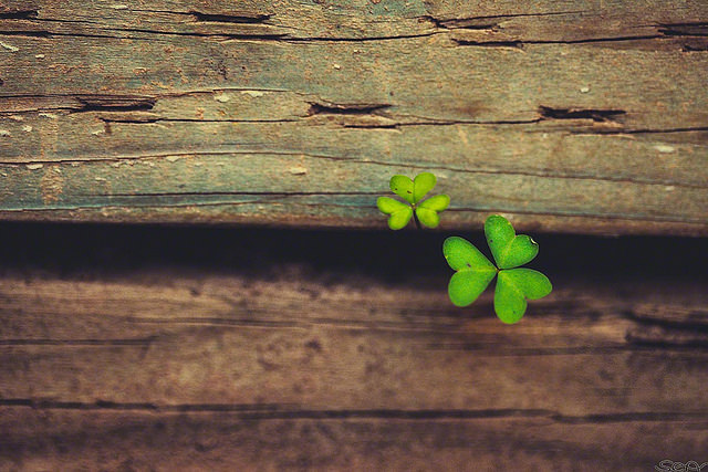 跌倒過後，勇敢站起來過程就叫「長大」