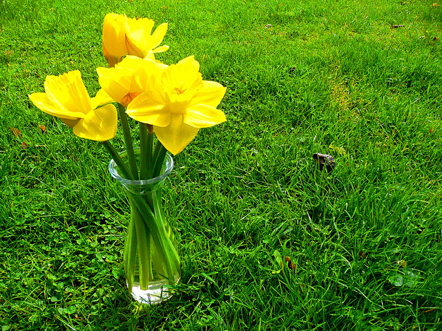 一個人的行為會招致榮還是辱，都是自己造成的
