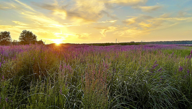跟父親講話有耐心一點、聲音輕一點，因為他們真的老了