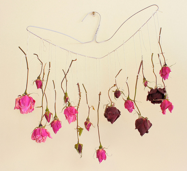 美好的事情都需要關心與用心