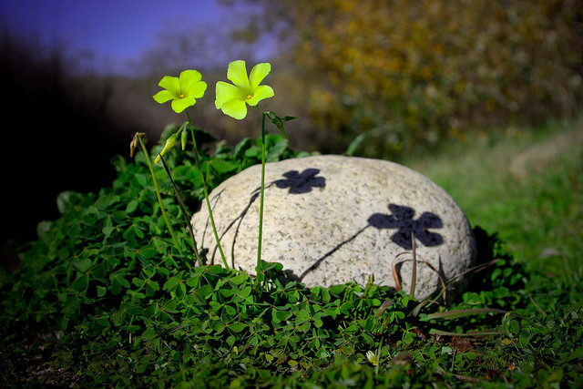 單身的浪漫，質數的浪漫