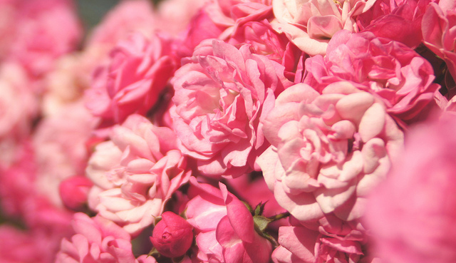 連試都沒試就放棄，那才是失敗