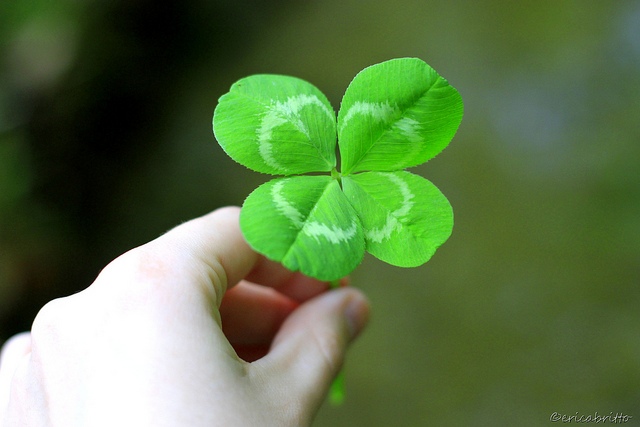 掌控我們成功或失敗的關鍵5步驟