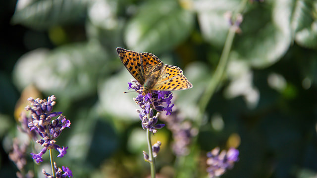 松浦彌太郎給25歲的你：誠懇面對問題，失敗就會是美好的挫折