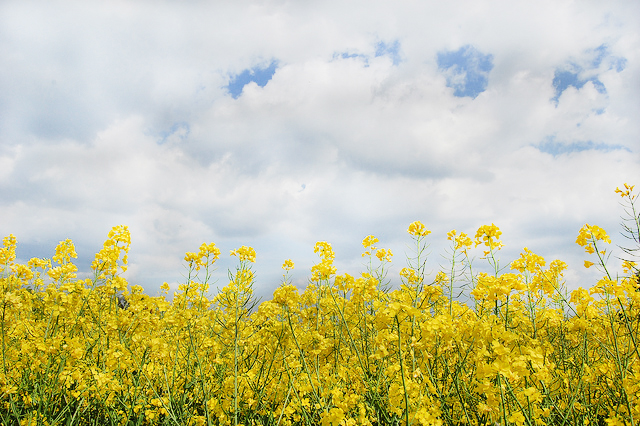 只有放下，你才能看得更遠