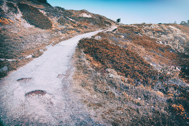比讀書更重要的事