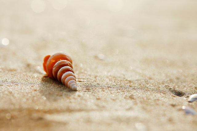 先入為主，讓你看不見也聽不見