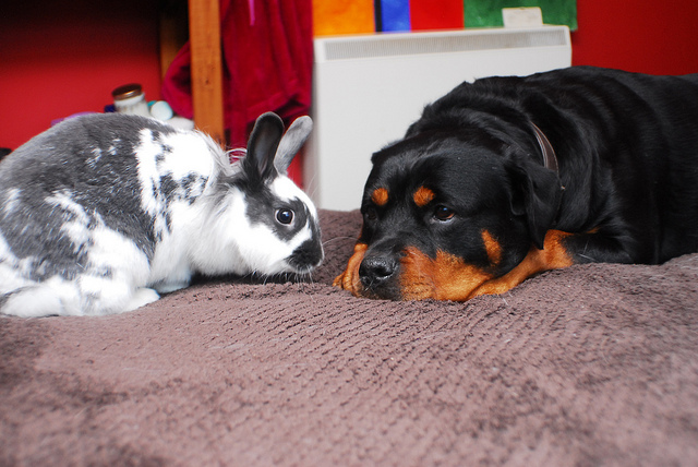 能讓愛情歷久彌新的，就在用心的細節裡