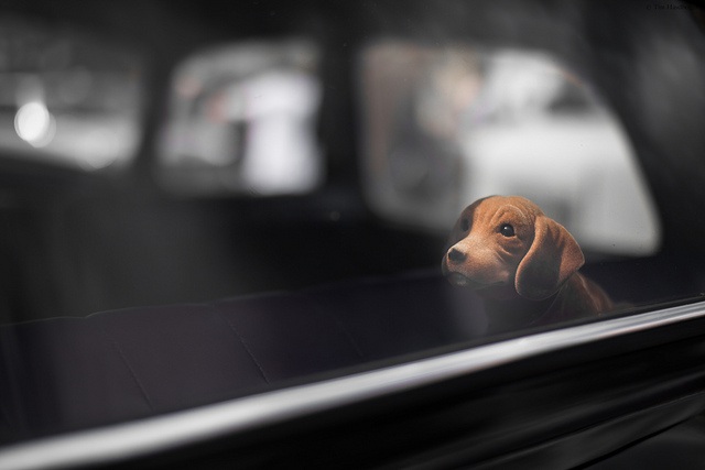 你是勤奮工作，還是工作成癮？