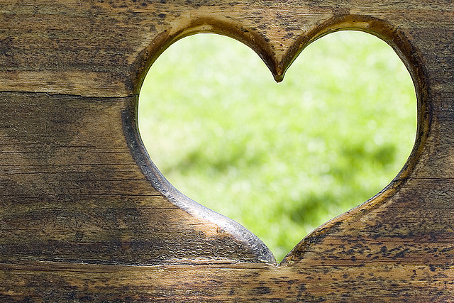 你追求的不是公平