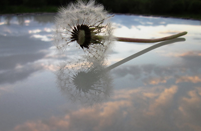 3個你遲早會問自己的問題