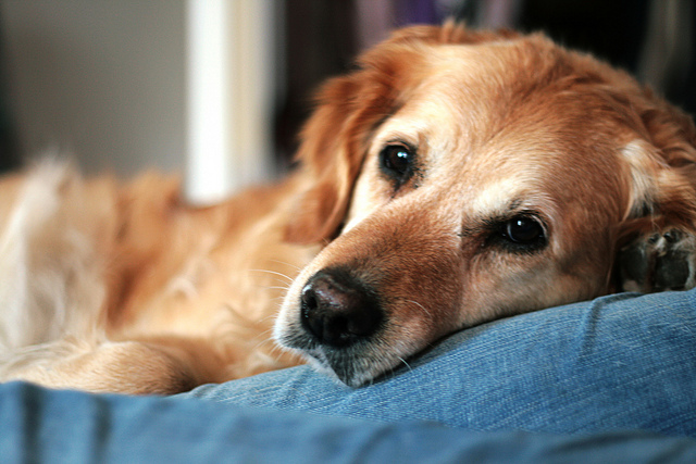 我就是不想工作