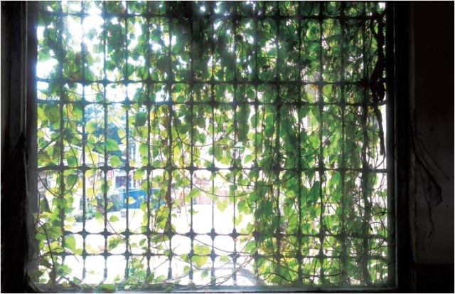 沒有經歷貧窮的人，不知道原來自己多富有