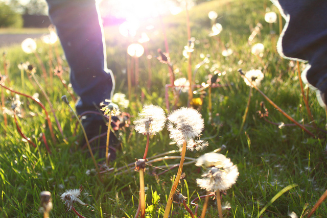 就算你有千金難換的美好，也別指望別人就該把你當公主