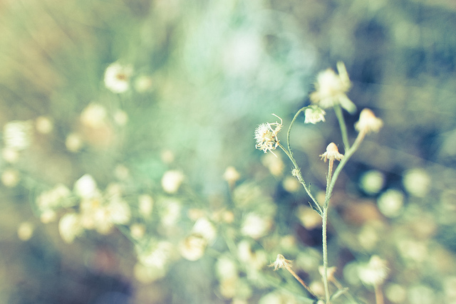 人生最可怕的不是犯錯，而是正在犯錯卻渾然不知