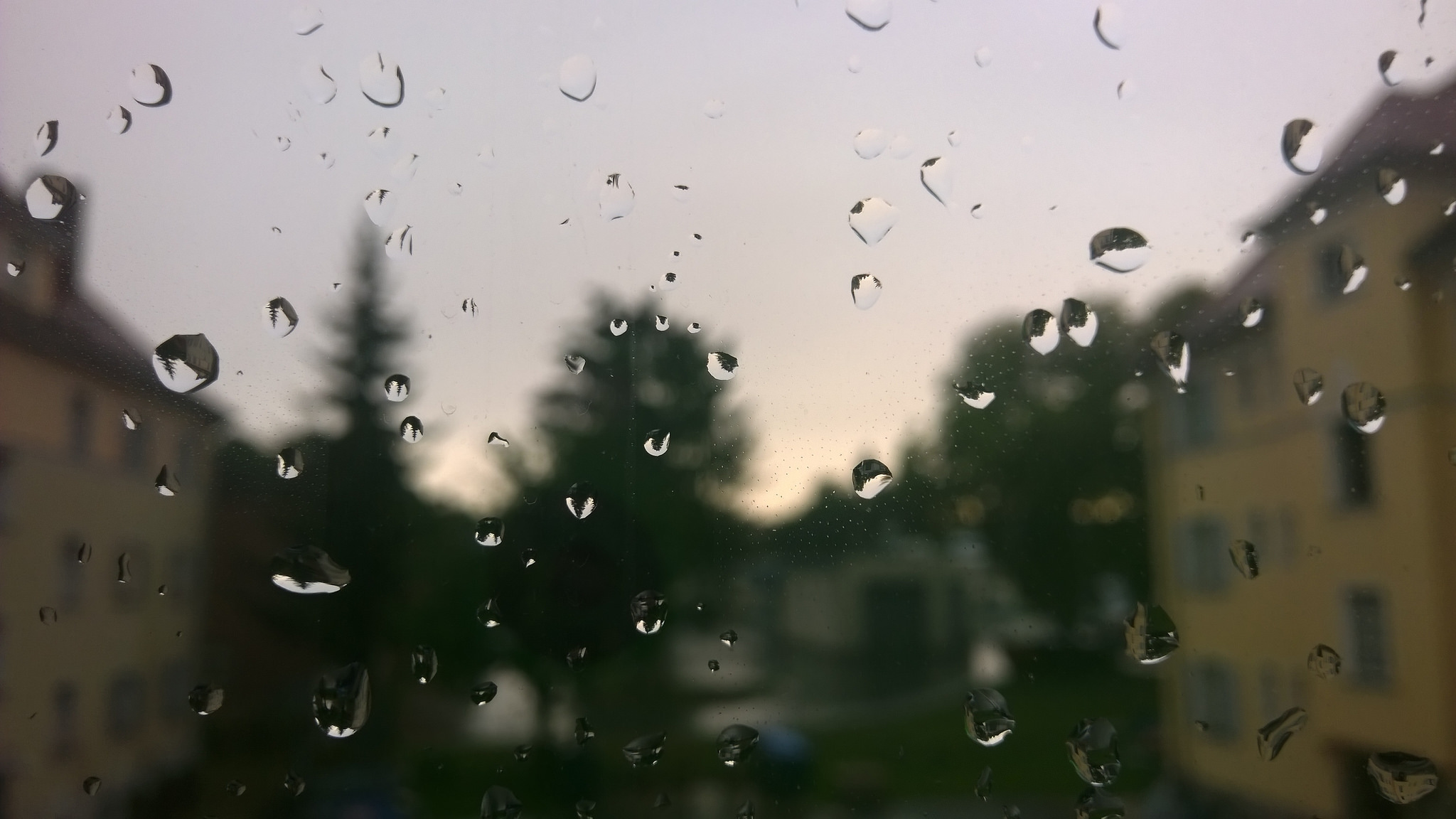 有些事情已經永遠改變了，有些事情永遠不會改變