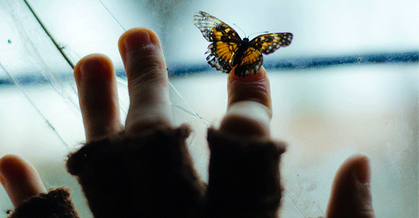 千錯萬錯都是我的錯？