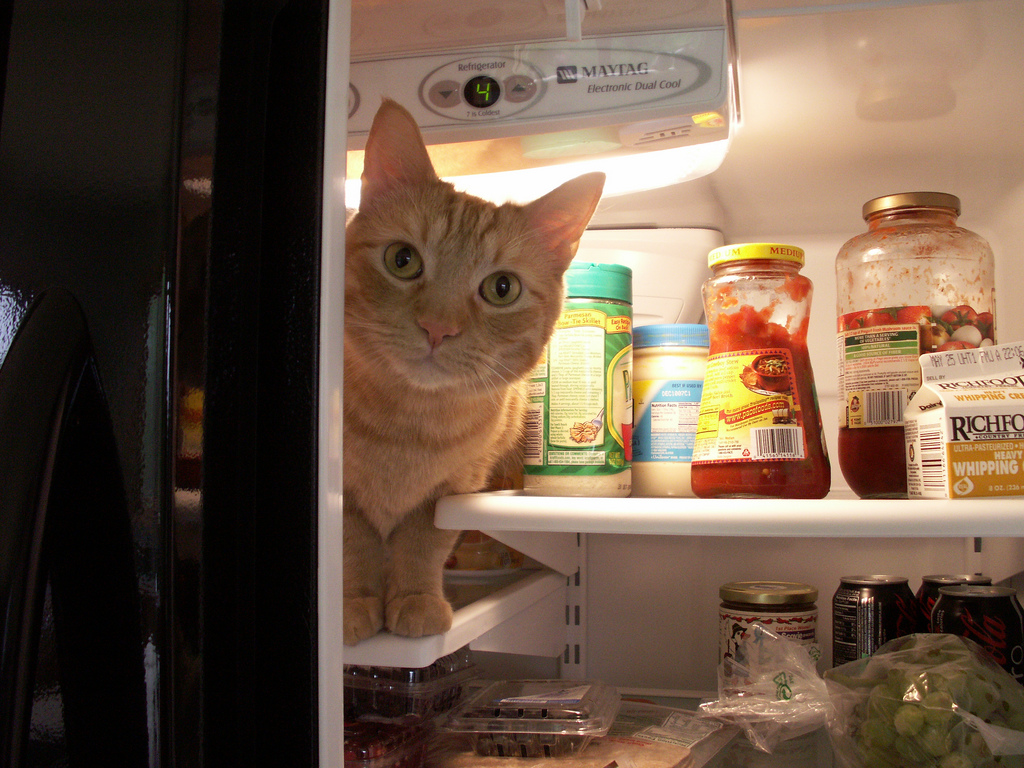 如何擁有飽滿的人生？