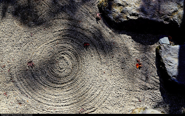 別光是瞎忙， 好好坐下