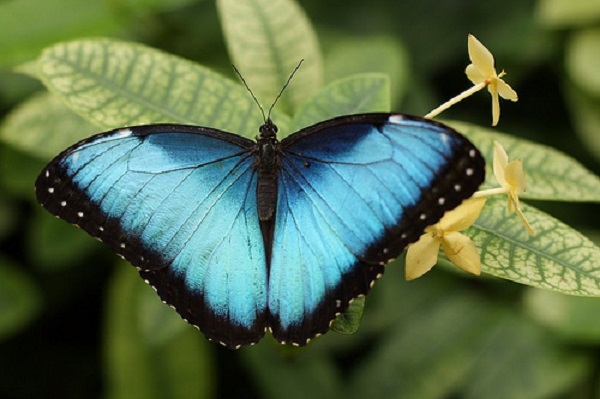 轉化讓我們成為更好的模樣