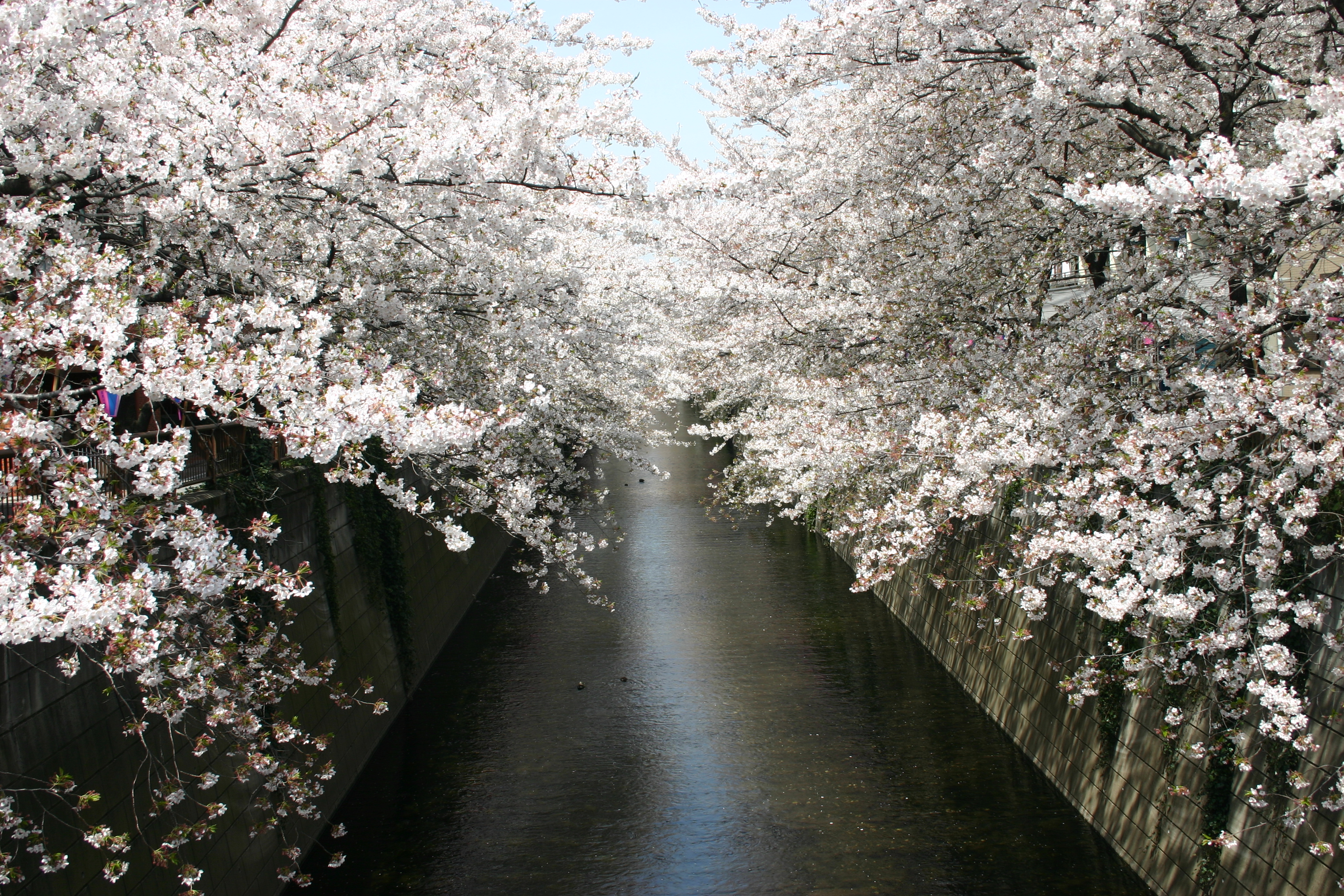 人生中有些景色，是你永遠忘不了的