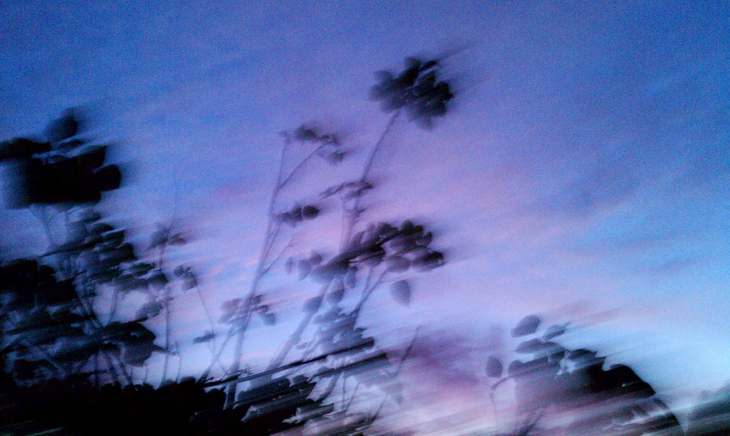 放手，需要勇氣和力量