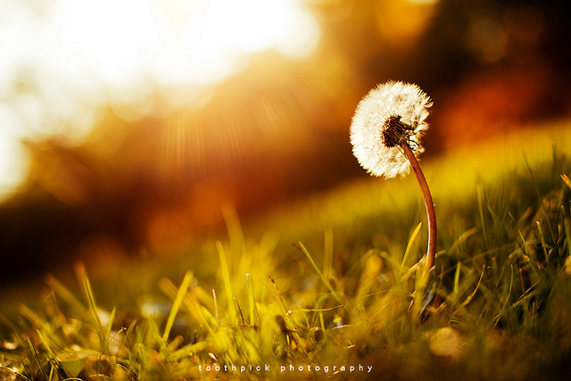 「感謝別人」可以讓你更有效率