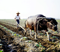 「商業經營」與「創意設計」的匯聚