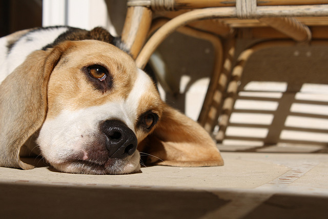 小心！現代的三大財富迷思
