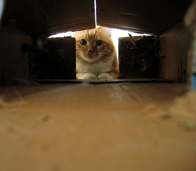 最重要的3個字：為什麼